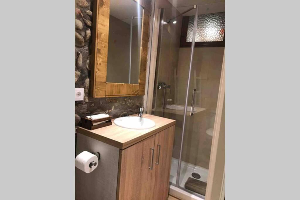 Puigcerda Centro. Acogedor Apartament En El Pueblo Exteriör bild